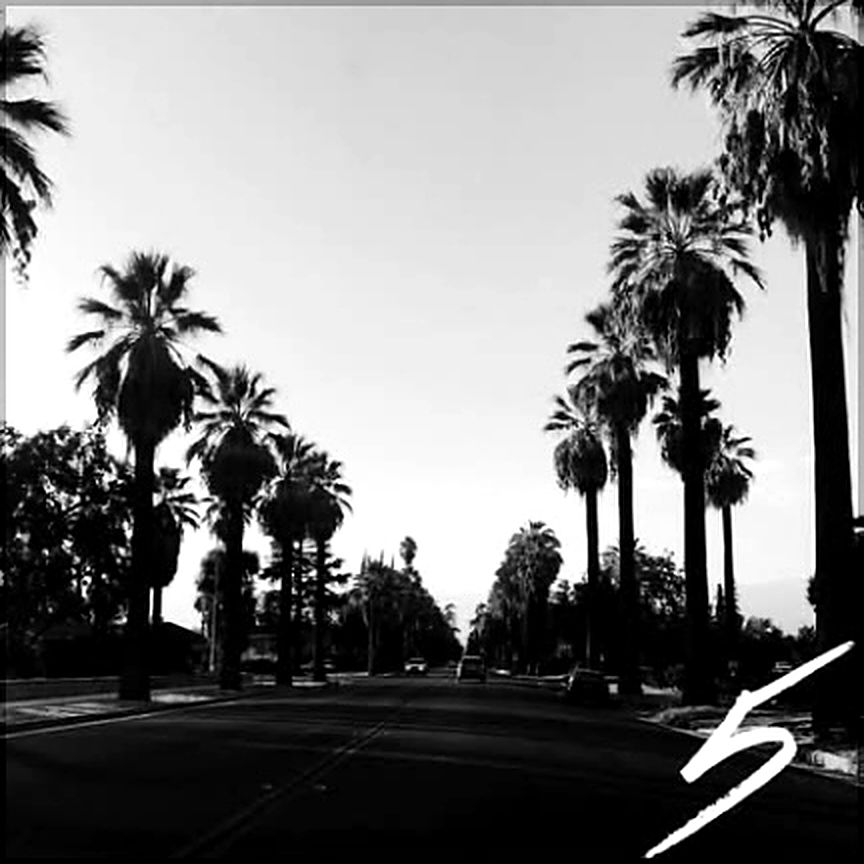 Palm-lined streets